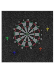 Dart Board Backing Wall